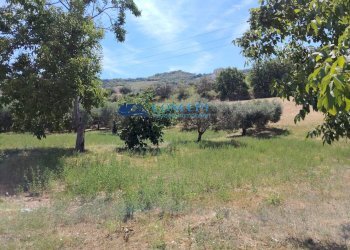 Foto 2 - Terreno edificabile via Vallecupa, Colonnella - foto 2