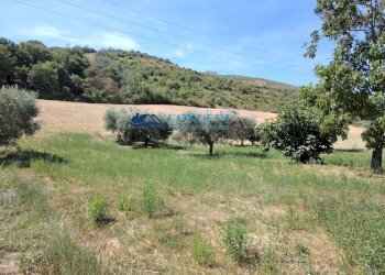 Foto 3 - Terreno edificabile via Vallecupa, Colonnella - foto 3