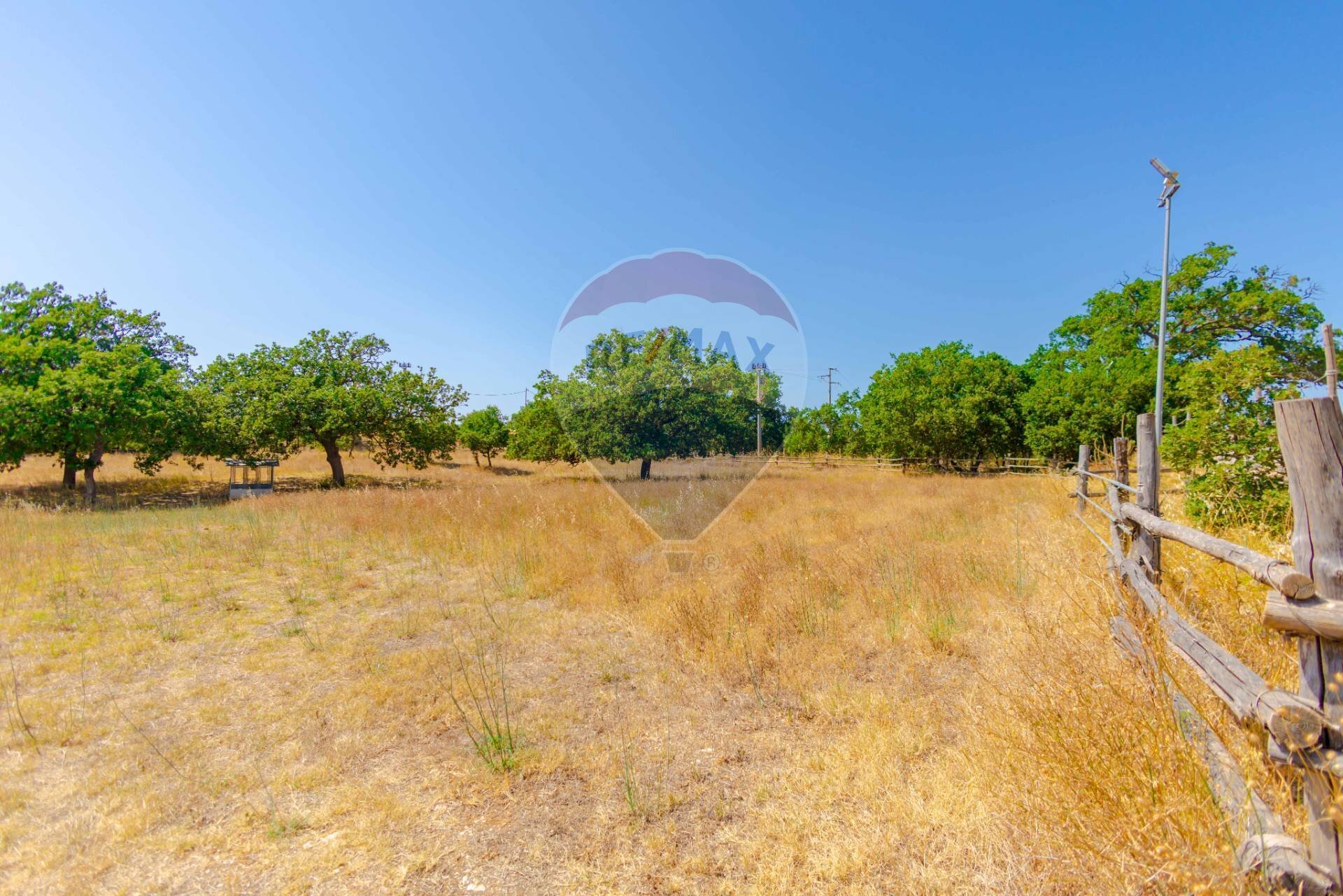 Giardino - Agriturismo Contrada Caggiano, Rutigliano - photo 2