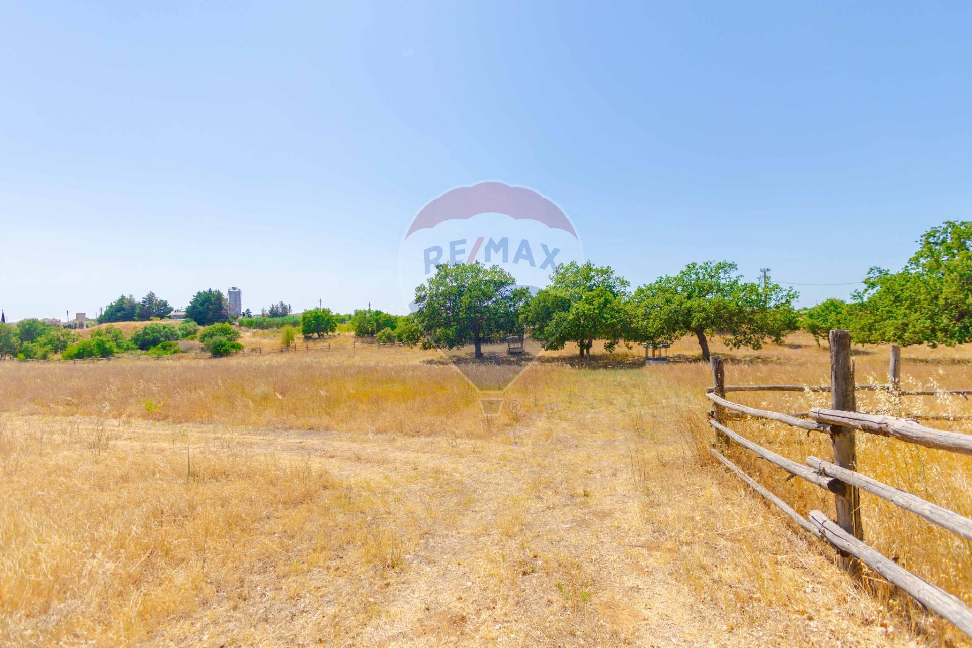 Giardino - Agriturismo Contrada Caggiano, Rutigliano - photo 3