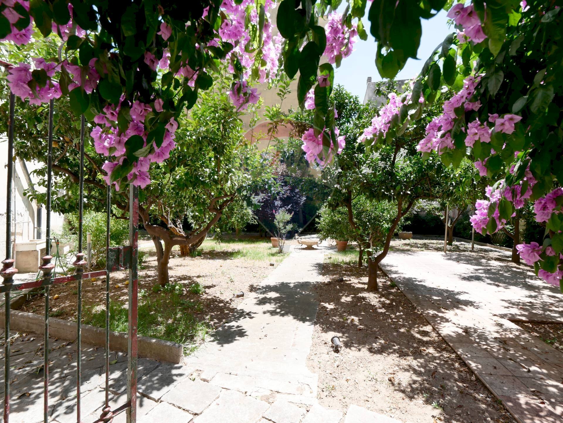 Giardino - Casa indipendente Piazza Vittorio Emanuele II
2, Acquaviva delle Fonti - foto 3