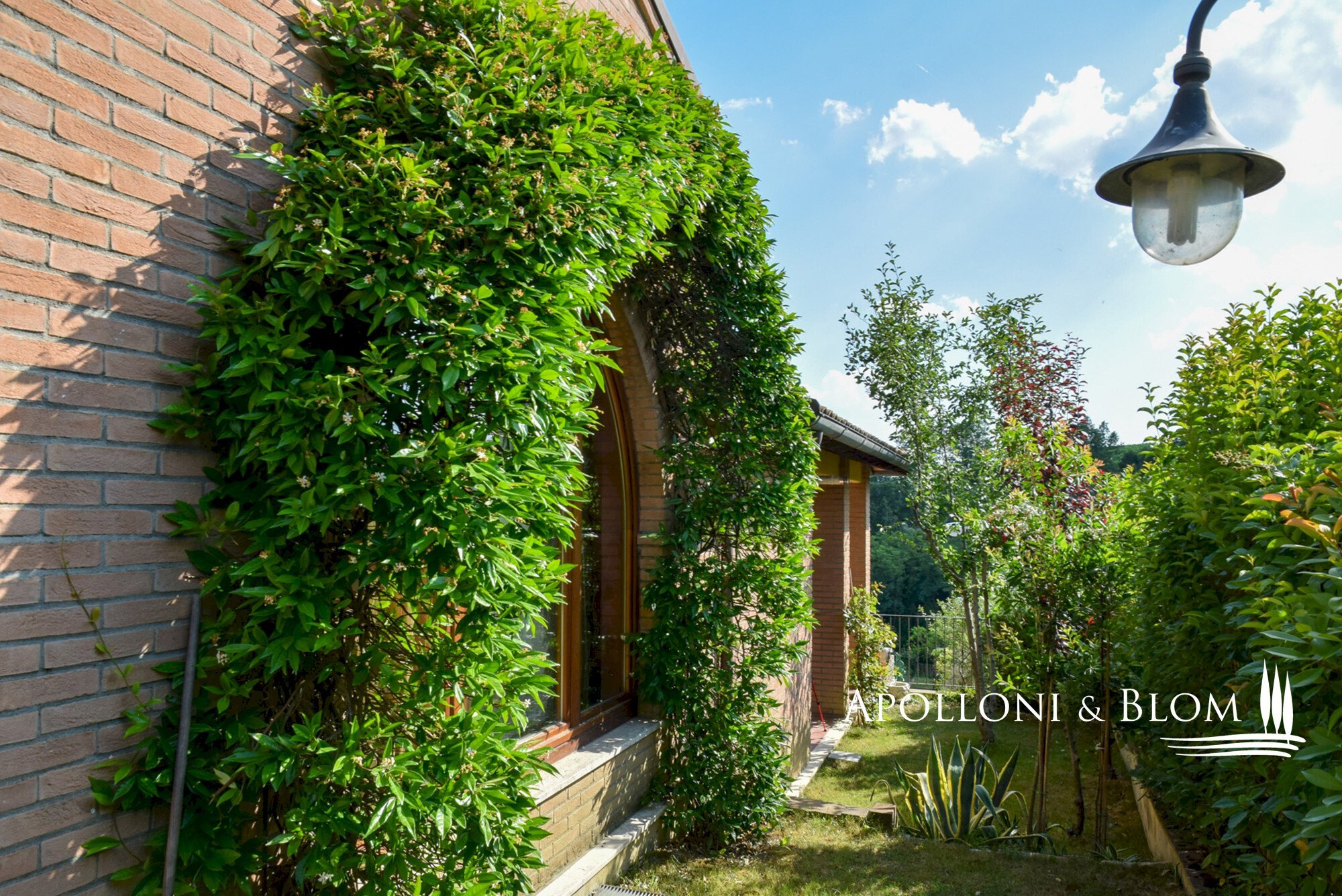 Semi-detached Villa Via Morandi, 6, Montepulciano - photo 3