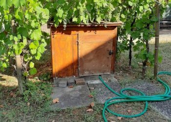 Giardino - Villa via Alessandro Volta, Finale Emilia - foto 5