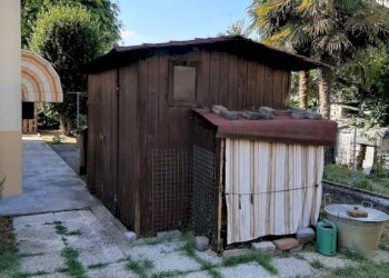 Terreno - Villa via Alessandro Volta, Finale Emilia - foto 14