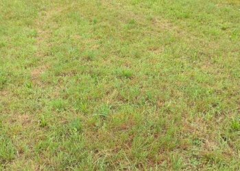 Terreno - Terreno edificabile via della Bressanella, 11, Arcisate - foto 13