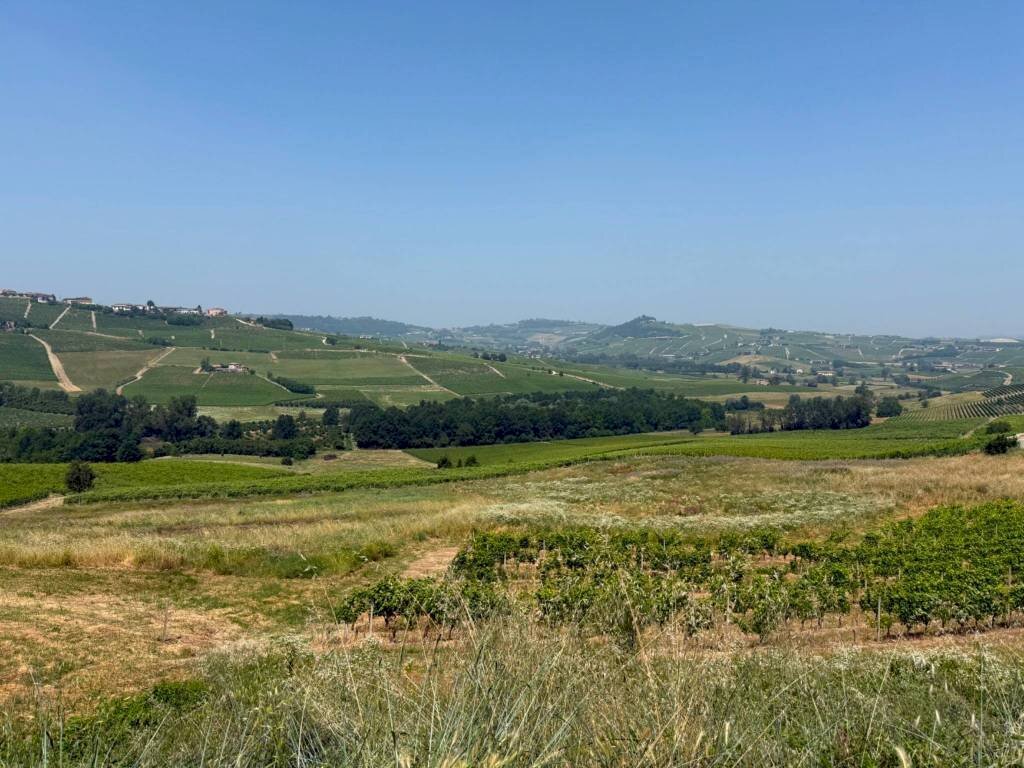 Vista - Agricultural land Calosso, Calosso - photo 1