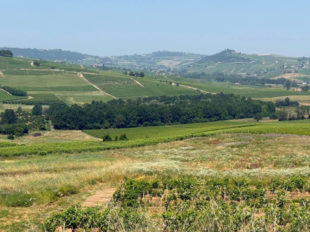 Vista - Agricultural land Calosso, Calosso - photo 2