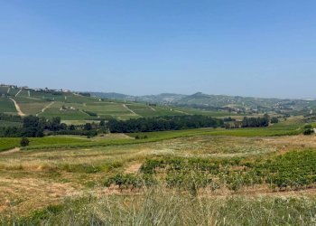 Vista - Terreno agricolo Calosso, Calosso - foto 1