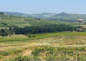 Vista - Terreno agricolo Calosso, Calosso - foto 2