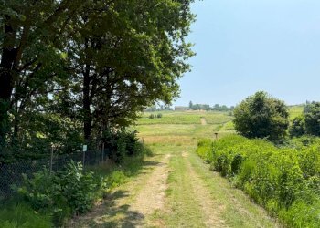 Terreno - Terreno agricolo Calosso, Calosso - foto 7