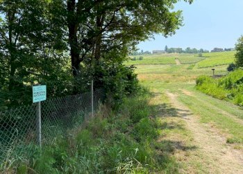 Terreno - Terreno agricolo Calosso, Calosso - foto 8