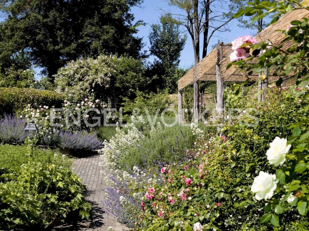 Terreno - Rustico Tagliolo Monferrato - foto 2