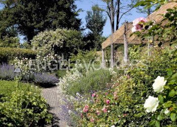 Terreno - Rustico Tagliolo Monferrato - foto 2