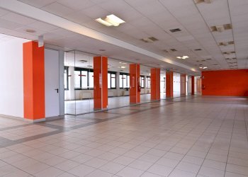 Stable - Palace Settimo Torinese - photo 14