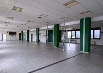 Stable - Palace Settimo Torinese - photo 16