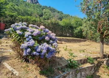 Casa indipendente Roletto - foto 8