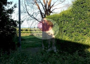 Foto 4 - Rustico s.p. Mediana, Fossacesia - foto 4