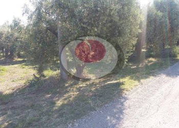 Foto 7 - Terreno edificabile via per treglio, Lanciano - foto 7