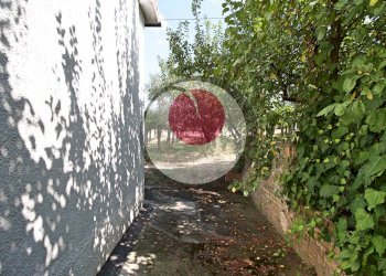 Foto 35 - Casa indipendente CONTRADA SAN MARTINO, Lanciano - foto 35