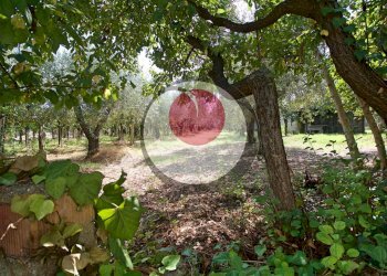 Foto 36 - Casa indipendente CONTRADA SAN MARTINO, Lanciano - foto 36