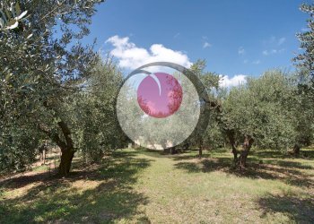 Foto 46 - Casa indipendente CONTRADA SAN MARTINO, Lanciano - foto 46