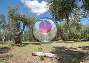 Foto 47 - Casa indipendente CONTRADA SAN MARTINO, Lanciano - foto 47