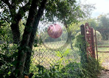 Foto 5 - Terreno edificabile Via Firenze, Lanciano - foto 5