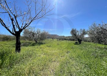 Foto 5 - Casa semi indipendente Contrada Santa Giusta, Lanciano - foto 5