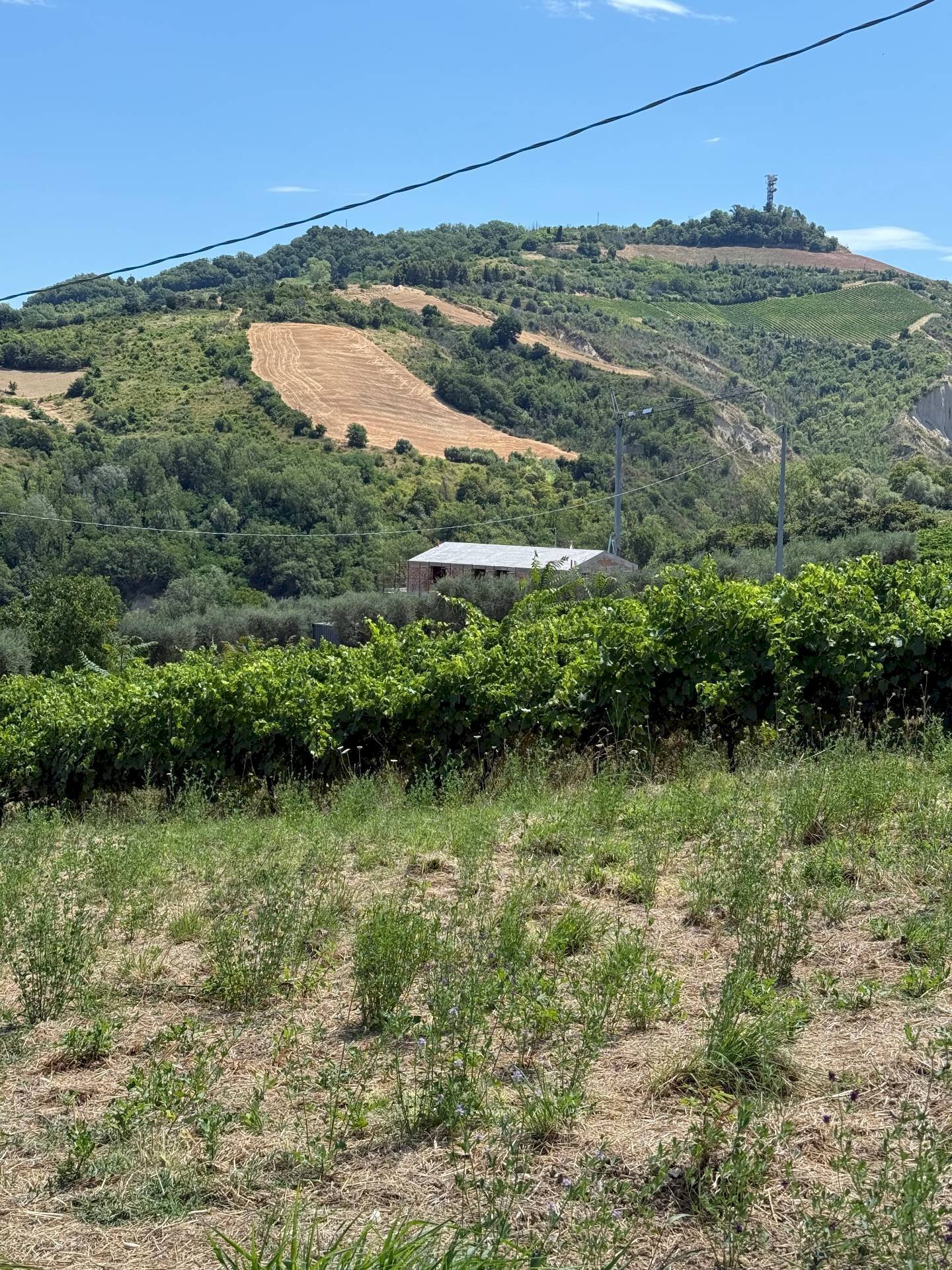 Foto 2 - Rustico Collevecchio, Ripatransone - foto 2