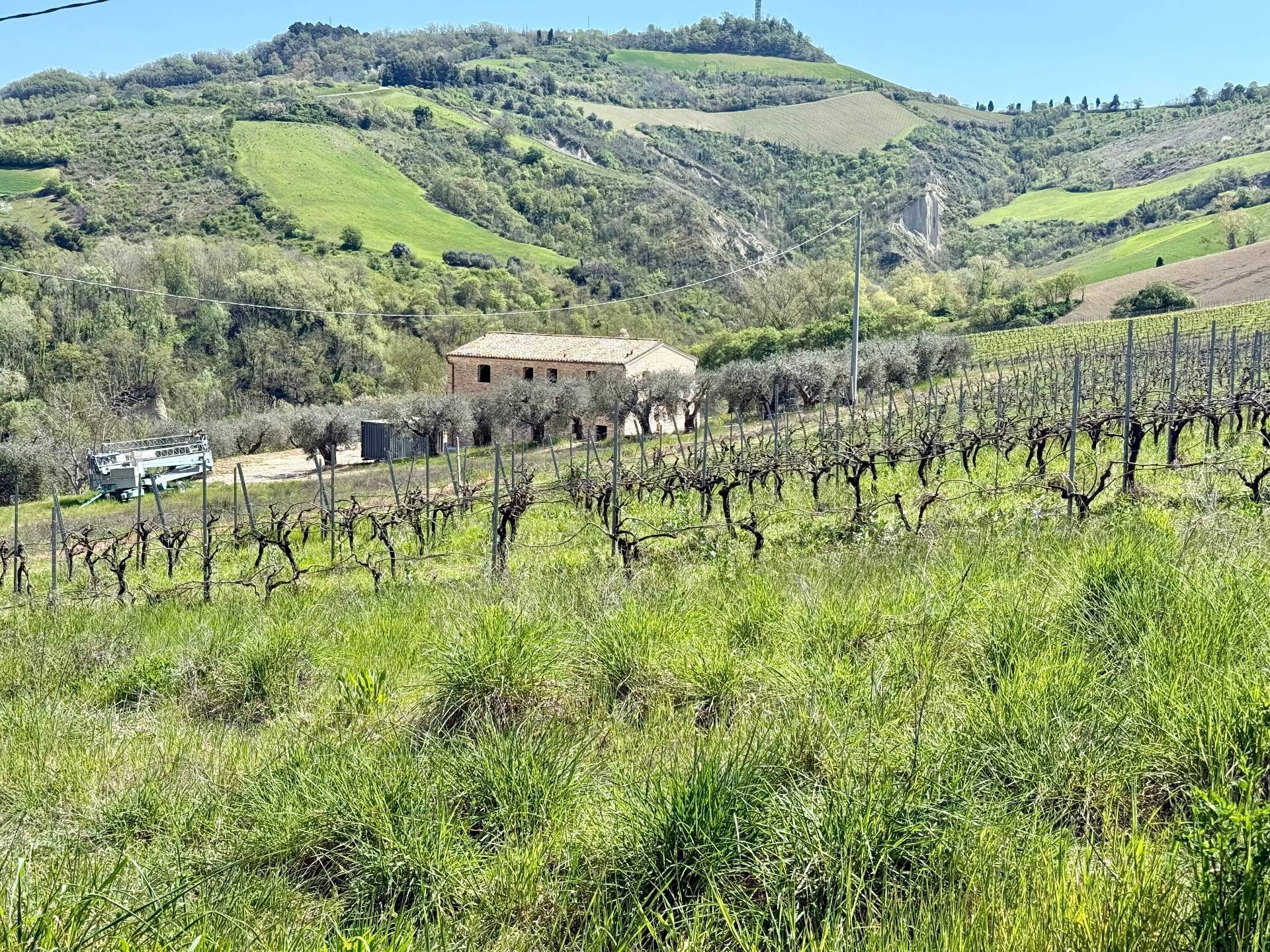 Foto 2 - Rustic Collevecchio, Ripatransone - photo 2