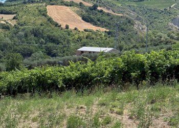 Foto 2 - Rustico Collevecchio, Ripatransone - foto 2