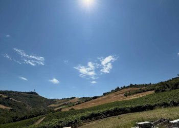 Foto 10 - Rustico Collevecchio, Ripatransone - foto 10