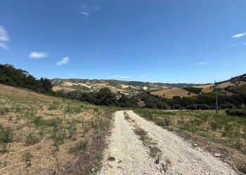 Foto 13 - Rustico Collevecchio, Ripatransone - foto 13