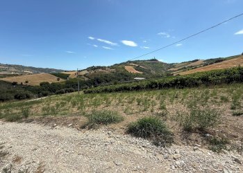 Foto 14 - Rustico Collevecchio, Ripatransone - foto 14