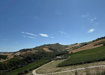 Foto 15 - Rustico Collevecchio, Ripatransone - foto 15