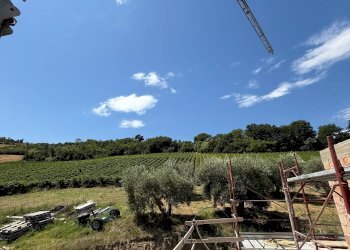 Foto 18 - Rustico Collevecchio, Ripatransone - foto 18