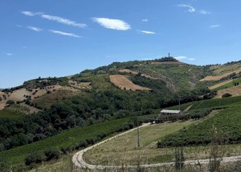 Foto 21 - Rustico Collevecchio, Ripatransone - foto 21