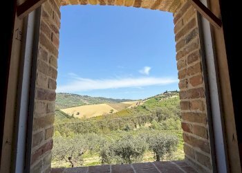 Foto 22 - Rustico Collevecchio, Ripatransone - foto 22