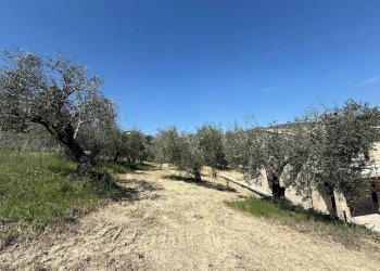 Foto 25 - Rustico Collevecchio, Ripatransone - foto 25