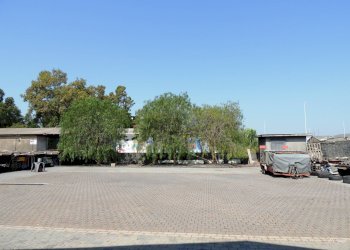 Foto 41 - Capannone Strada XVIII, 1ª Strada
 
42, Catania - foto 41