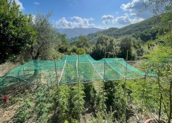 Foto 18 - Independent house Via Ville San Pietro, Borgomaro - photo 18