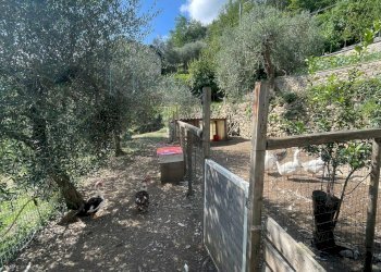 Foto 19 - Independent house Via Ville San Pietro, Borgomaro - photo 19