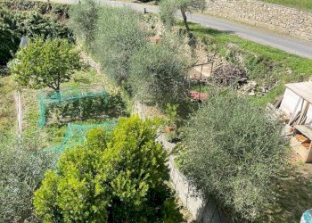 Foto 43 - Independent house Via Ville San Pietro, Borgomaro - photo 43