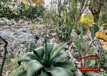 Foto 7 - Villa via ovidio
 
14, Siracusa - foto 6