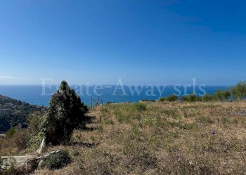 Foto 18 - Terreno edificabile Strada Noci, Ospedaletti - foto 18