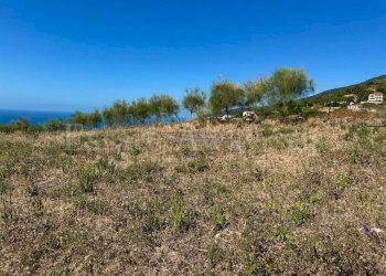 Foto 19 - Terreno edificabile Strada Noci, Ospedaletti - foto 19