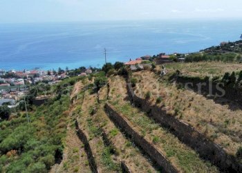 Foto 1 - Terreno edificabile Strada Noci, Ospedaletti - foto 1