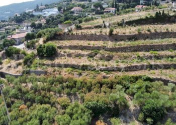 Foto 25 - Terreno edificabile Strada Noci, Ospedaletti - foto 25