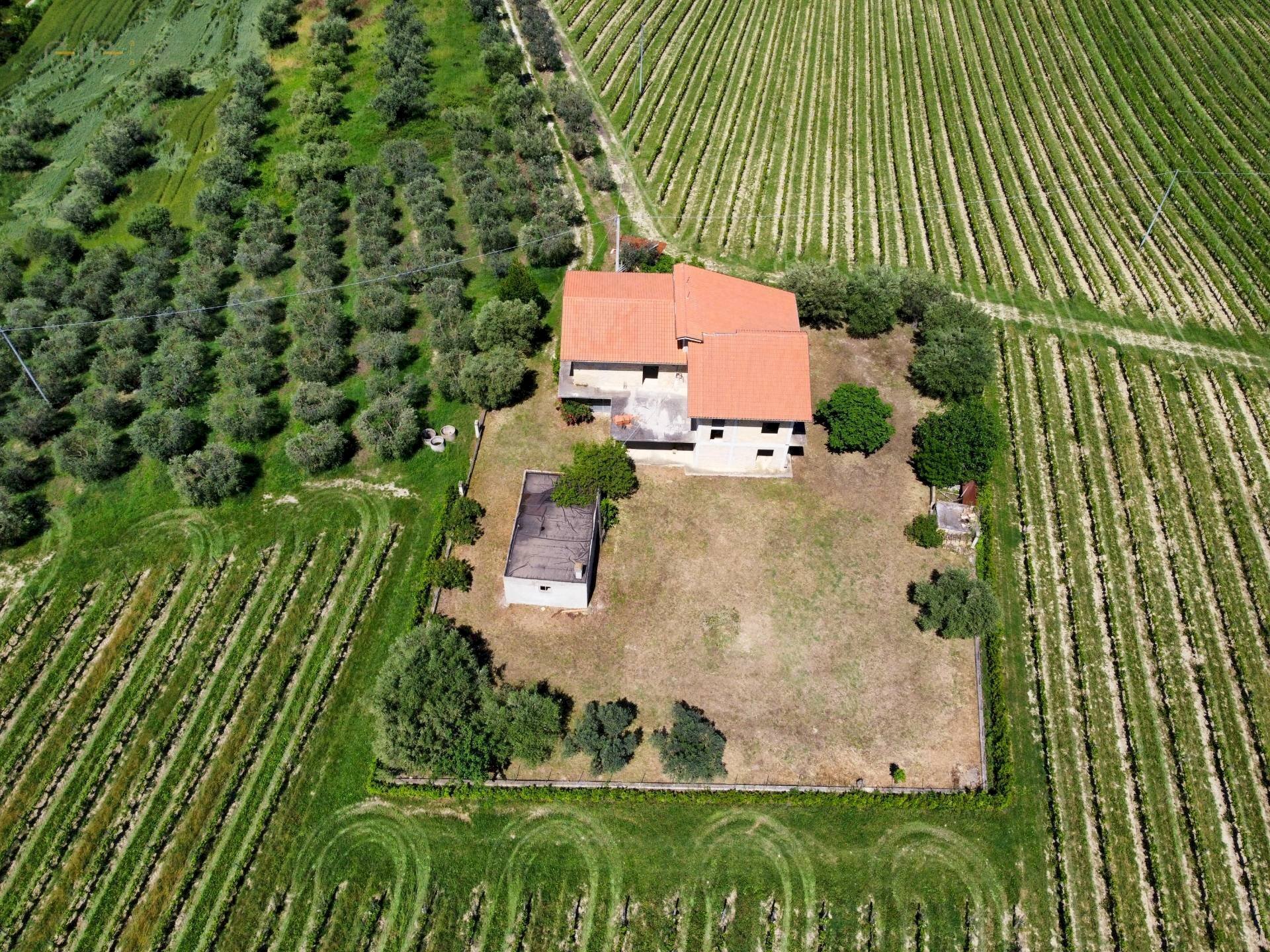 Foto 2 - Rustic Contrada Piane Tronto
 
snc, Controguerra - photo 2