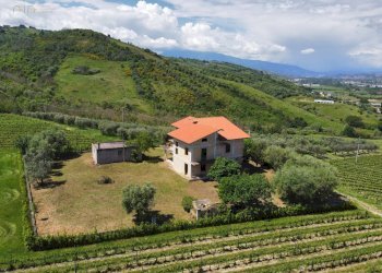 Foto 4 - Rustic Contrada Piane Tronto
 
snc, Controguerra - photo 4